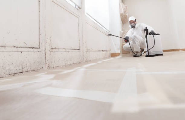 24/7 Emergency Mold Remediation experts in Mickleton, NJ